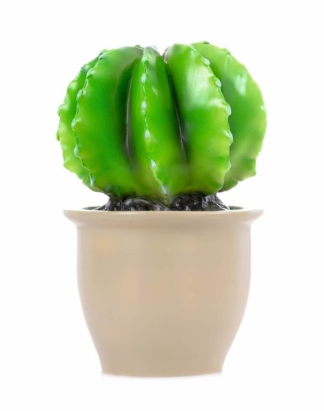 Heico Nachtlicht Kaktus, rund