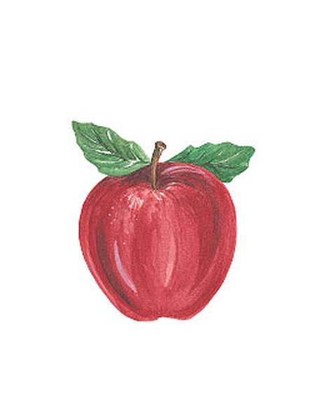Wandaufkleber Wallies Motiv-Sticker (Cutouts) Red Apples