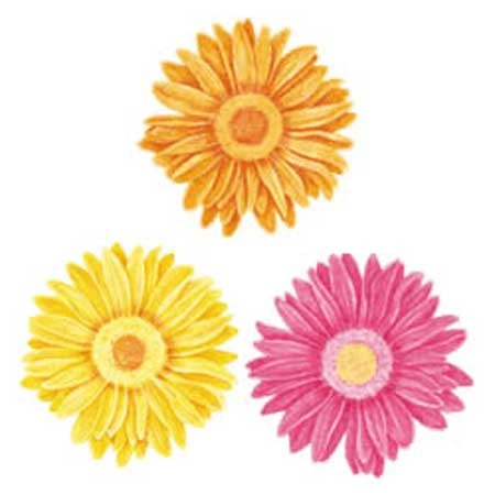 Wandaufkleber Wallies Motiv-Sticker (Cutouts) Gerber Daisies