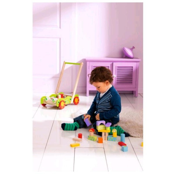 Holz Baby Lauflernwagen Walker mit 40 Bauklötzen